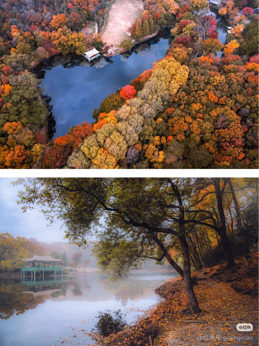 0a66259bfd86cdd0b0b33e9b39ad6237-sz_2304160