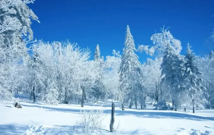 0a75a01f0866aa062b68620f0ea9771a-sz_424815 0a75a01f0866aa062b68620f0ea9771a-sz_424815