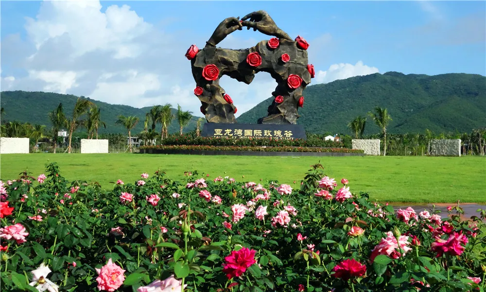 0a85eaeab4f19f8967bb0d9476c33d67-sz_290197 0a85eaeab4f19f8967bb0d9476c33d67-sz_290197