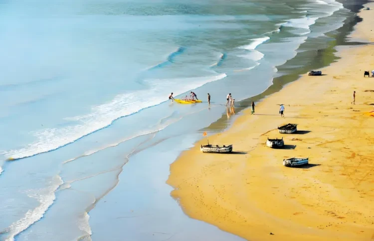 0a99c1c0e7e67d17248cd245e91cd9a5-sz_922519