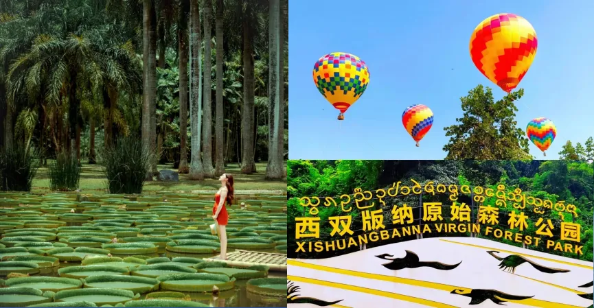 0ac371333551ab991f81393c4a82a9f1-sz_1043629 0ac371333551ab991f81393c4a82a9f1-sz_1043629