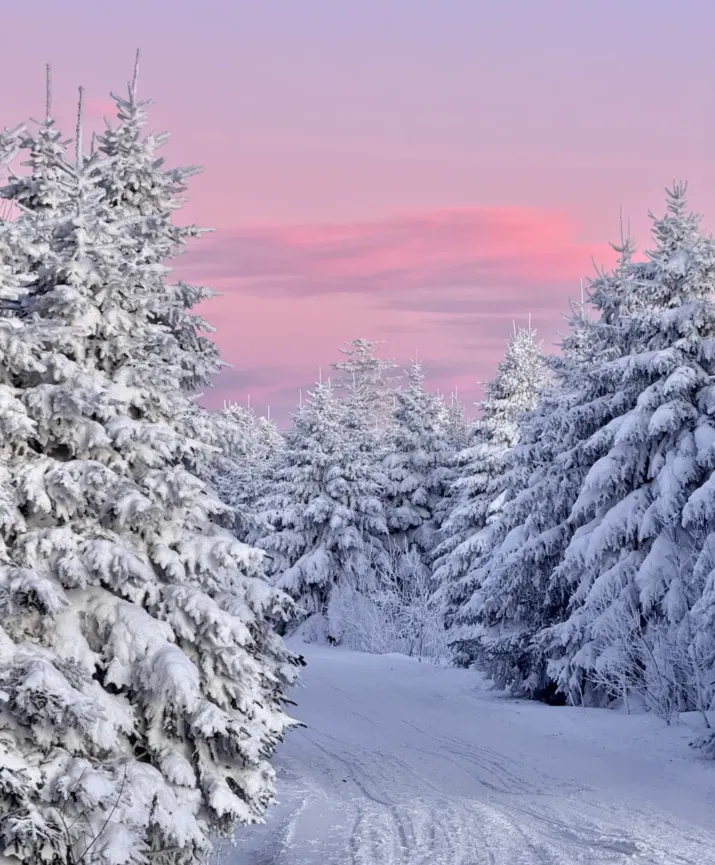 0ae177f1e37797fafbe506b0df24c31a-sz_995946