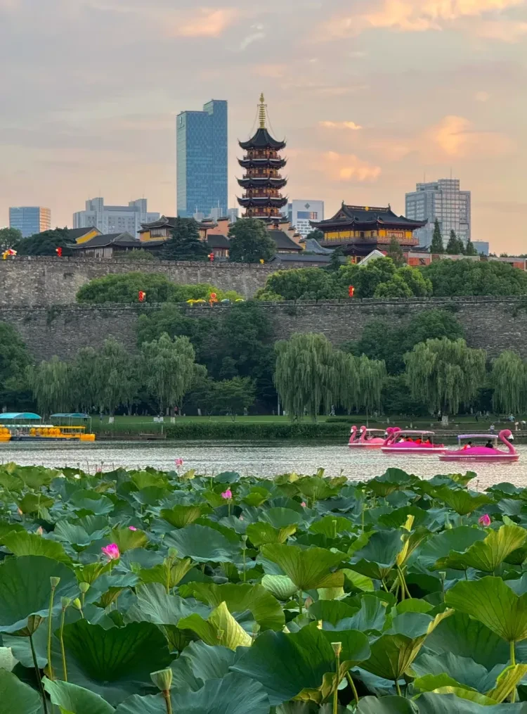 0ae9613b2be6f1d65d2c9381dc4e2bdc-sz_2924531 0ae9613b2be6f1d65d2c9381dc4e2bdc-sz_2924531