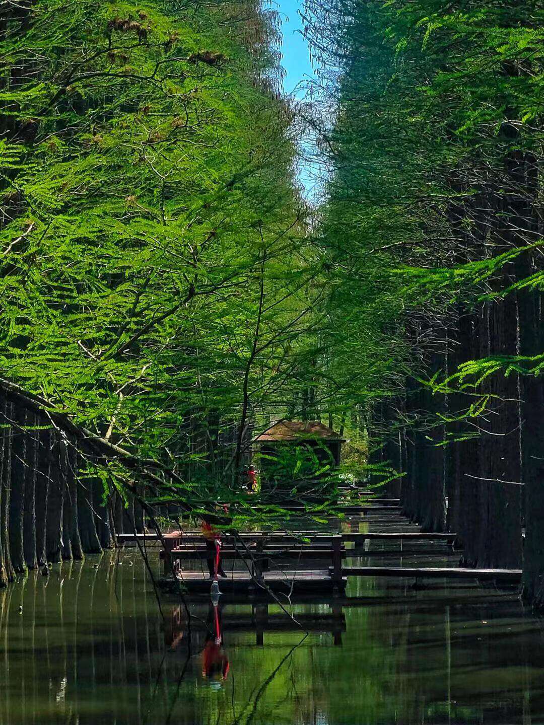 0b13290f99a414275afa02f07212b41e-sz_335570