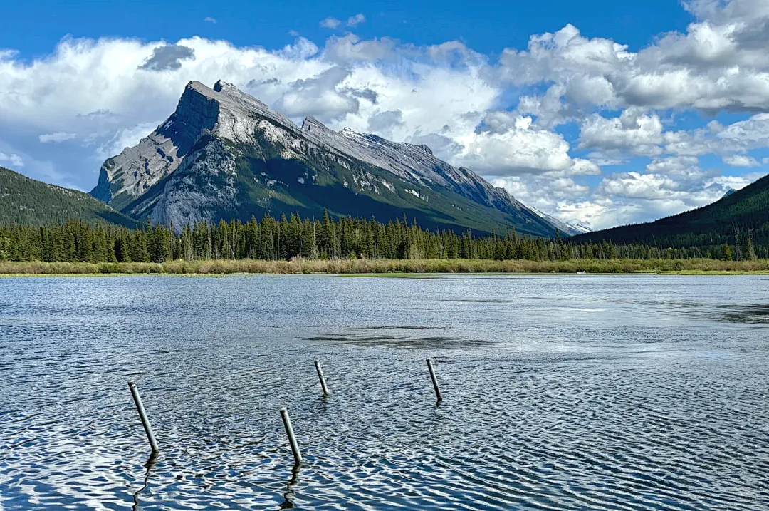 0b494bb6ab54929069b3e0507dfcb519-sz_2768961