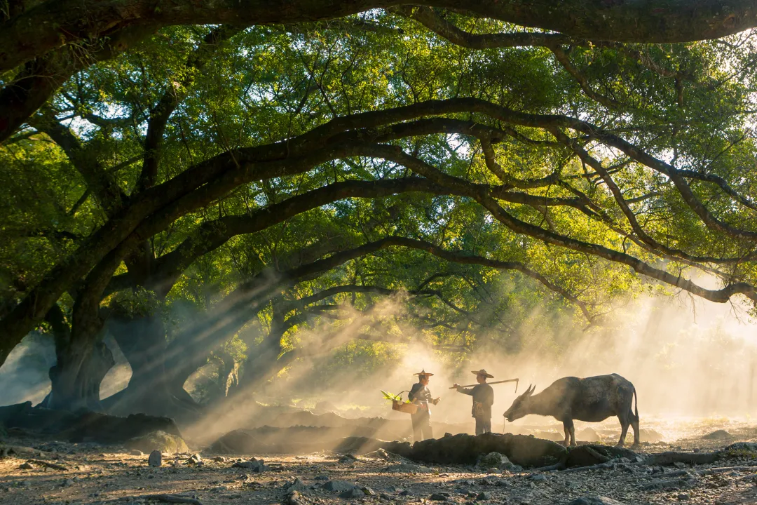 0b526ce8122e7c66403a1fa336aeab52-sz_4177820