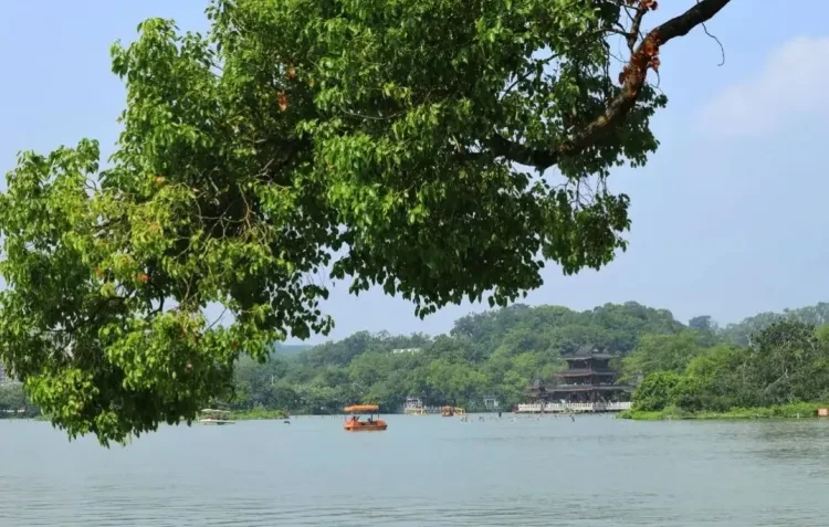 0b7102fc13c93e86fe01683880956d59-sz_1675127 0b7102fc13c93e86fe01683880956d59-sz_1675127