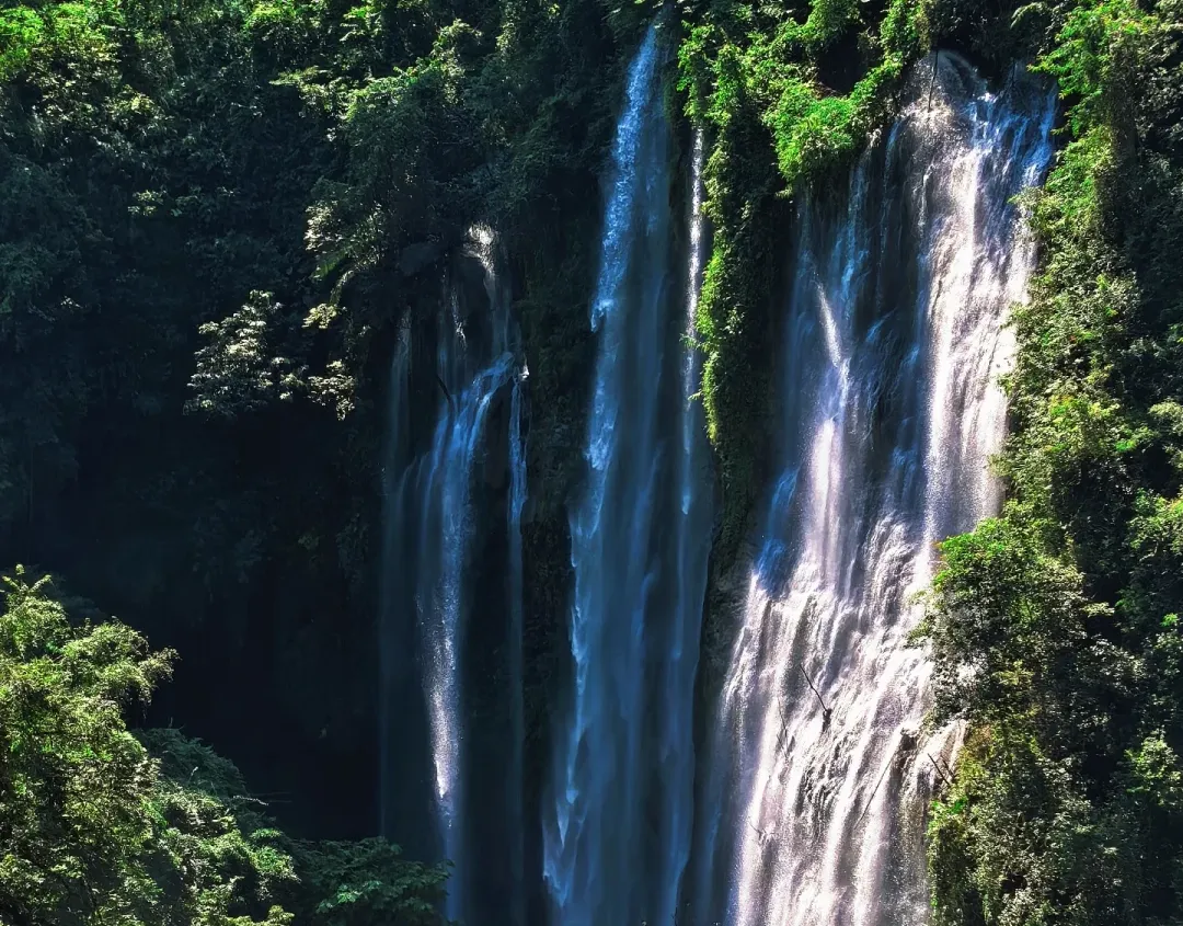 0b8ec5378a9e0706f995cf79ffe5f9e6-sz_4392085