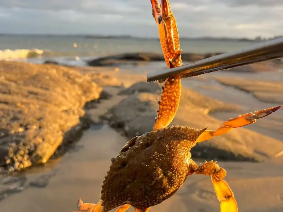 0b9a92ce45b5d045268c99ab41d73929-sz_157169 0b9a92ce45b5d045268c99ab41d73929-sz_157169