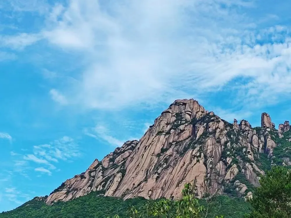 0bd071d3cc84ea85aa0dfff10d7cd903-sz_504896-2