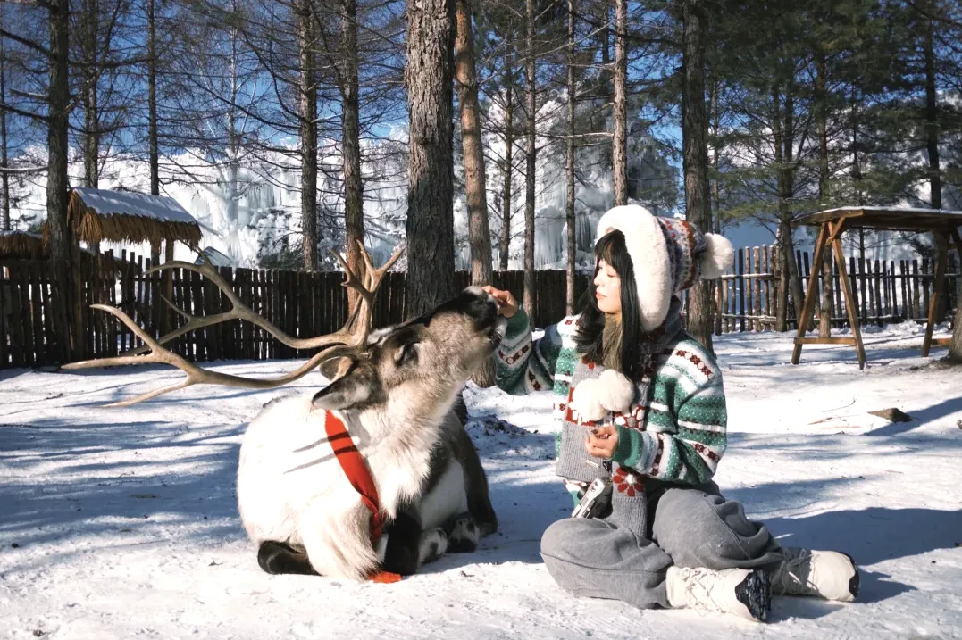 0c285708e278d78eb806df358829478e-sz_3134977