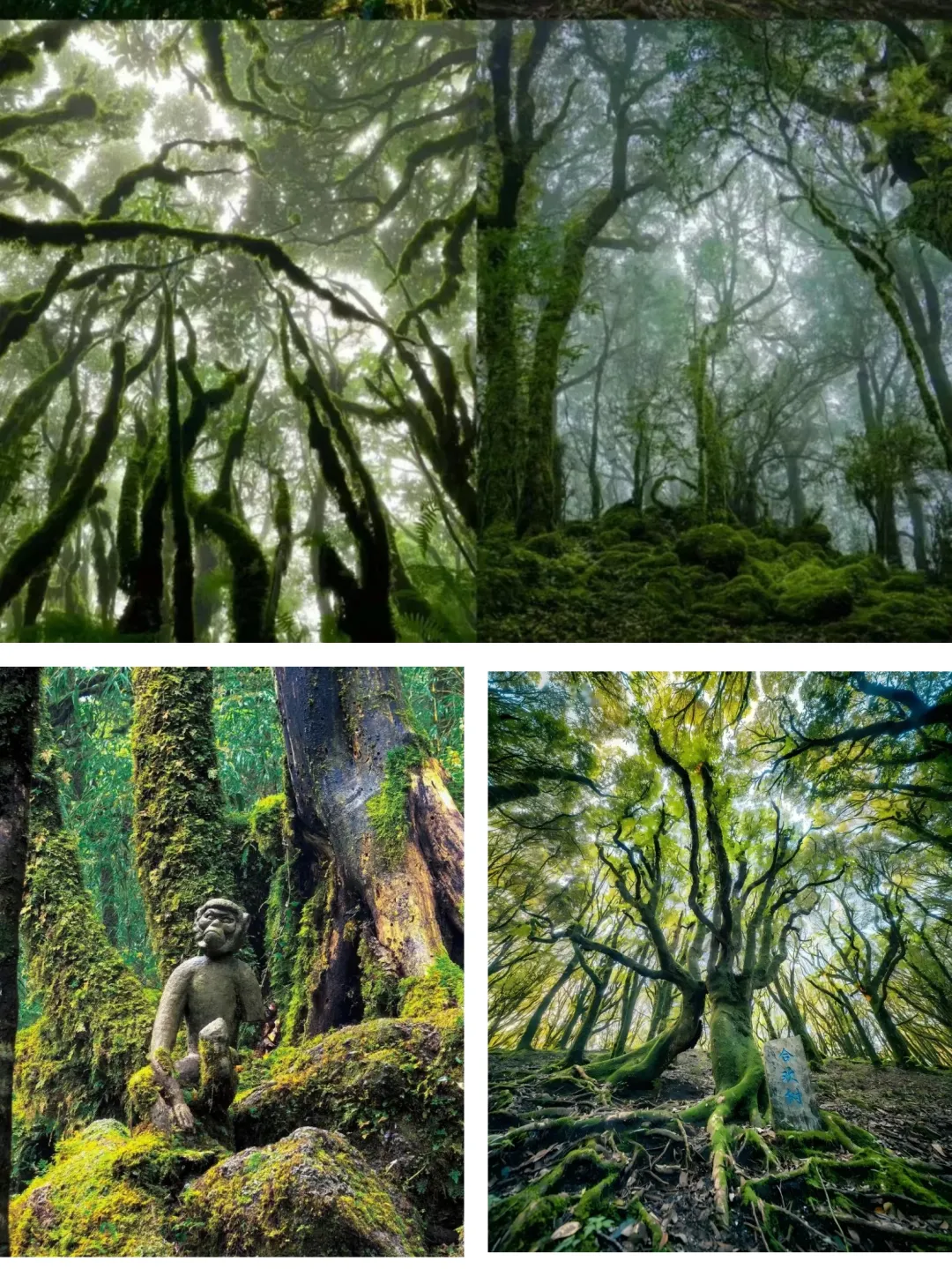 0c3b7bd00e185d25436d9a06647ae3eb-sz_1109753