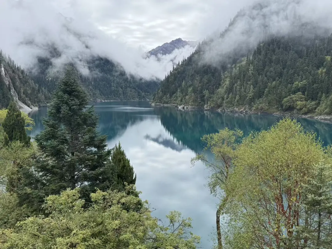 0c3c93d624c6f96bf7fc6a23e1c1d064-sz_443161 0c3c93d624c6f96bf7fc6a23e1c1d064-sz_443161