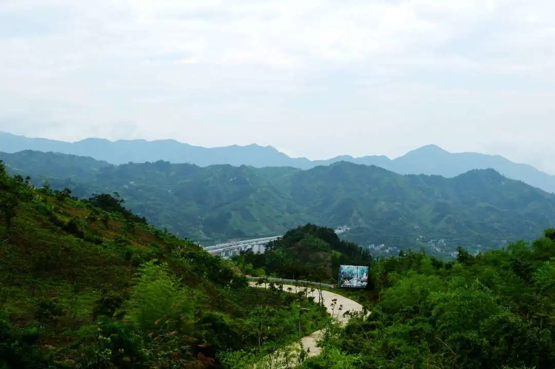 0c636d86c275417c775b5cdd99852e43-sz_102808