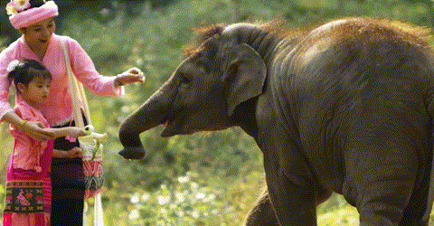 0caeb1a2df49a8b7abe51f0e98c65e33-sz_1573968