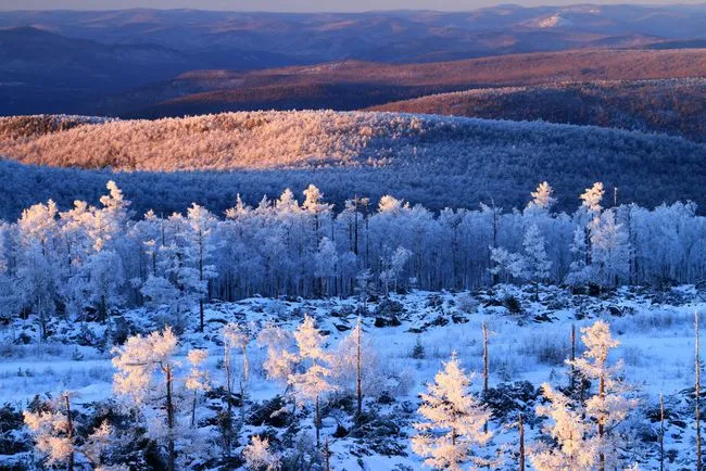 【冰雪奇缘】双飞6日游，全程四钻酒店+1晚雪乡景区内民宿+1晚景区酒店，报团即送东北保暖三件套！24小时接送机/站，一客一单接送，不等待，快来报名吧！