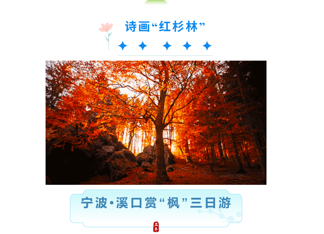 0d1e2bedf4e207ad7ab45661a93fd8bd 0d1e2bedf4e207ad7ab45661a93fd8bd