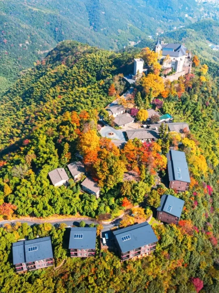 0d256c17e894946b4bc02d85566b64e1-sz_384268 0d256c17e894946b4bc02d85566b64e1-sz_384268