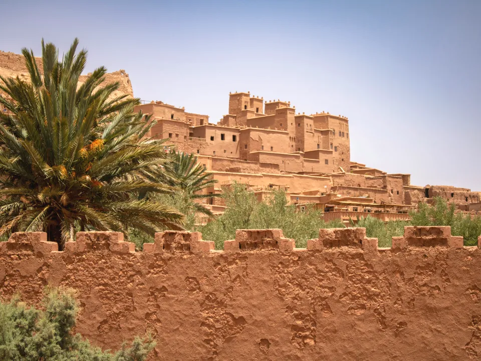 0d264b8e60fb43bbea9496aa103dd000-sz_6662495