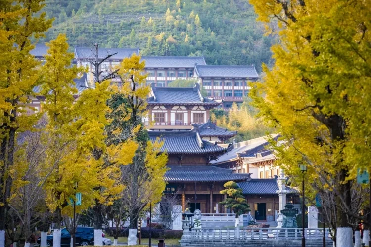 0d26dc4e02ced94c7e0a53ffd2212b08-sz_3001677 0d26dc4e02ced94c7e0a53ffd2212b08-sz_3001677