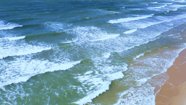 0d4092b1954ef693563df932d7a80495-sz_2795254