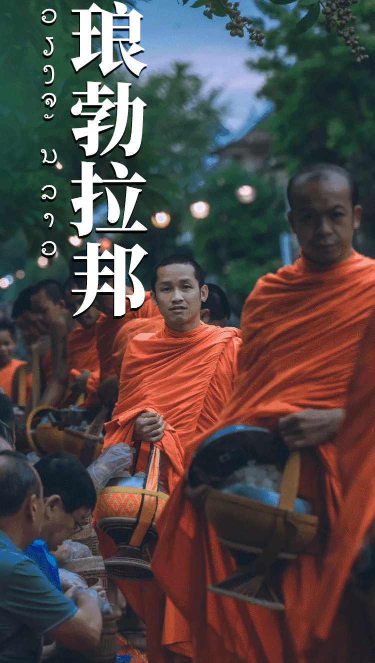 0d51f3d6cac84f98b78719311ebd57f8-sz_1445676