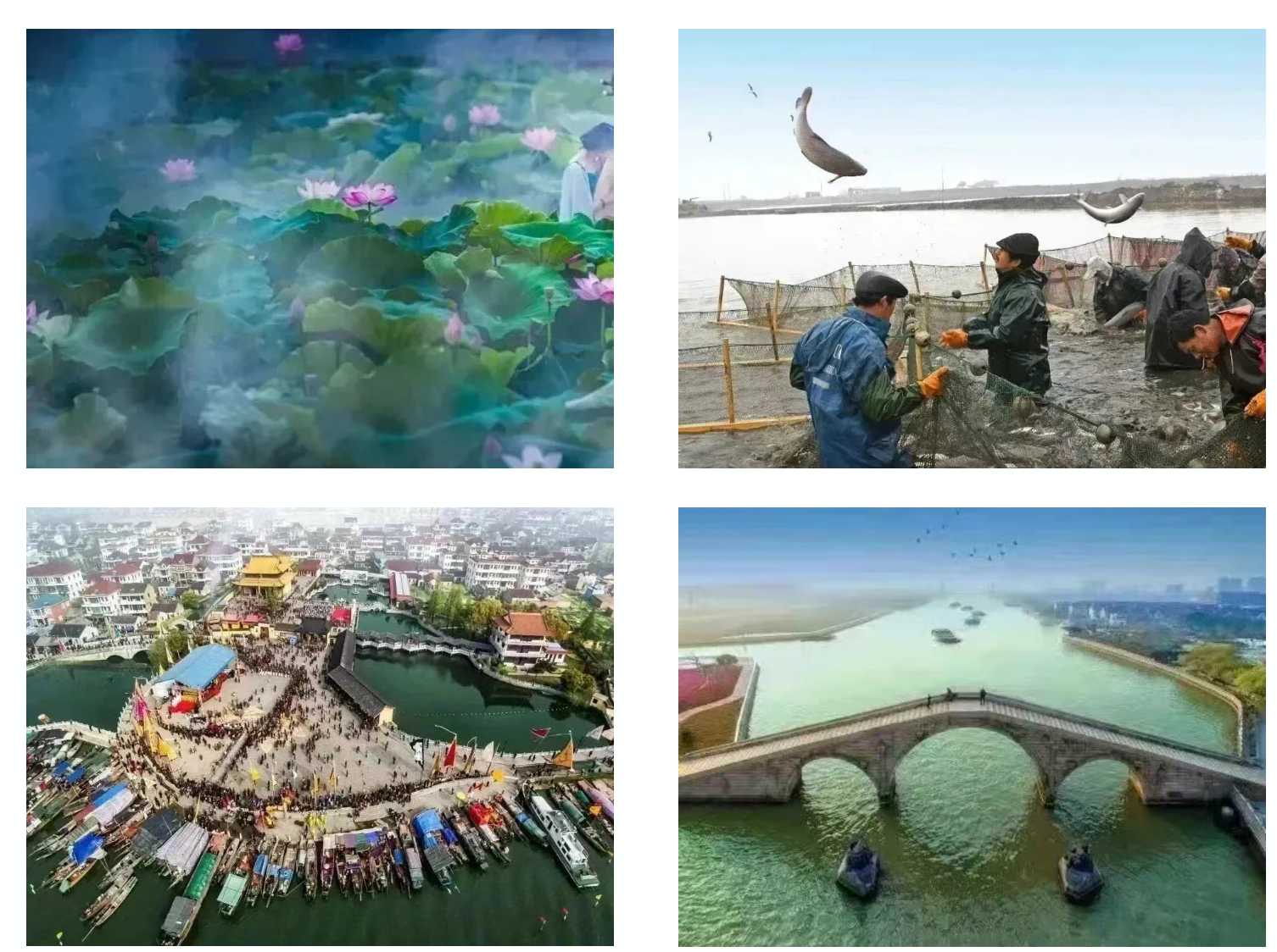 0d6aec15edc81a31268a6336d5fed275