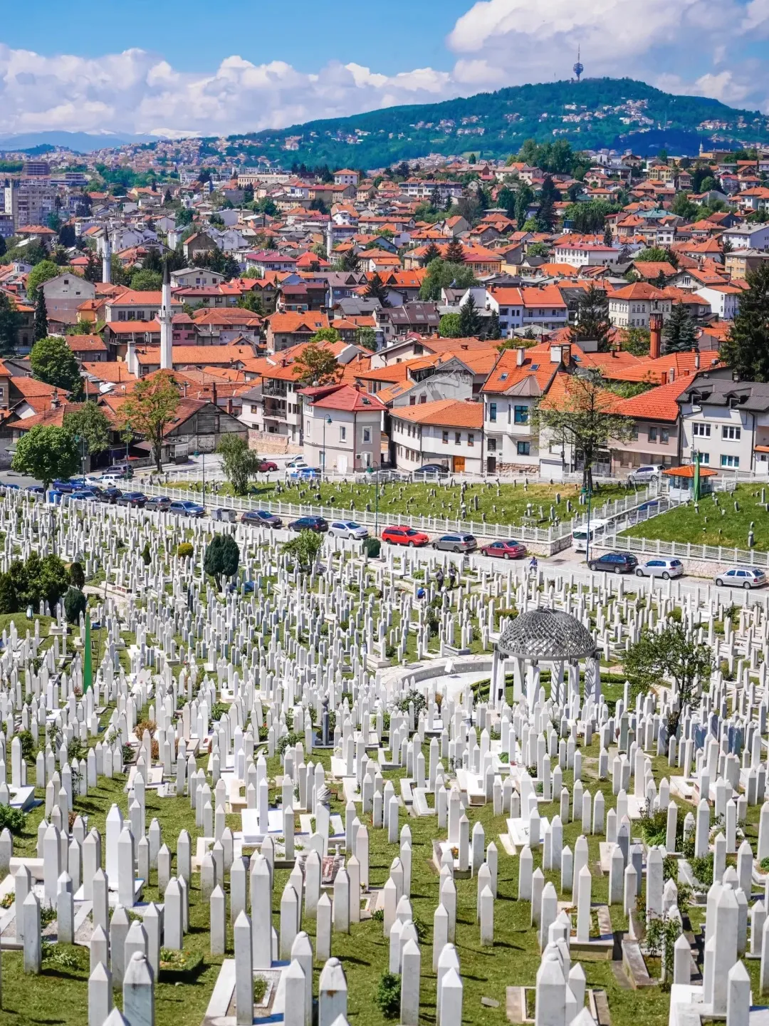 0ddaf5f7d511eeb14af51ec6c0e87512-sz_730605