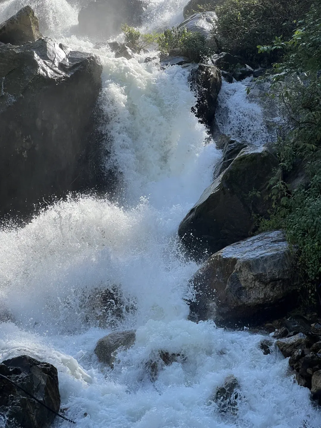 0de8037de7c7019bd43581c55a80c54a-sz_3529164