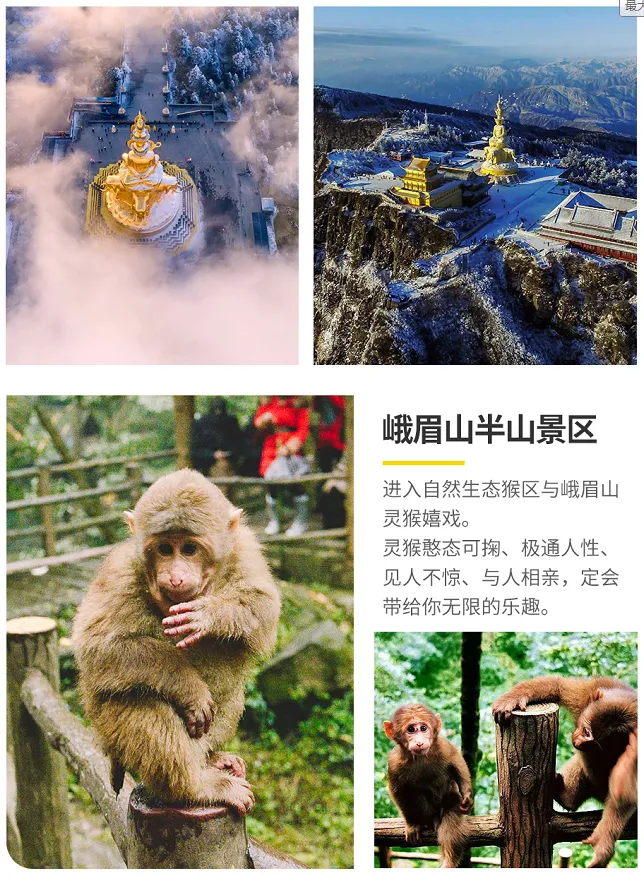 0deccd3467e5b2f70c61114b0048c388-sz_1201110