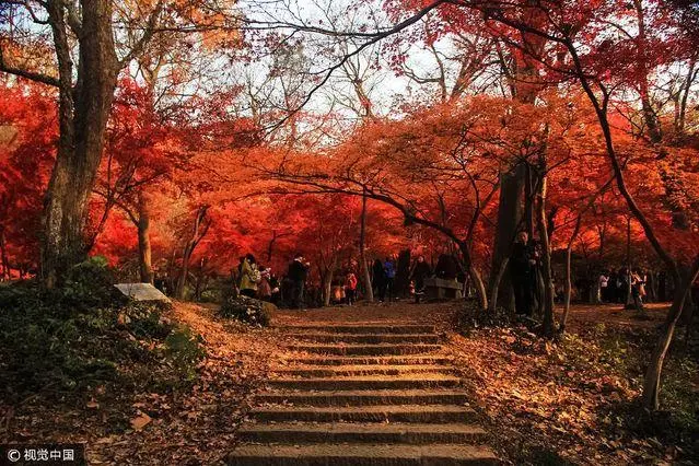 0df5f91e533022116d5ed0e836ef765b-sz_99757-2