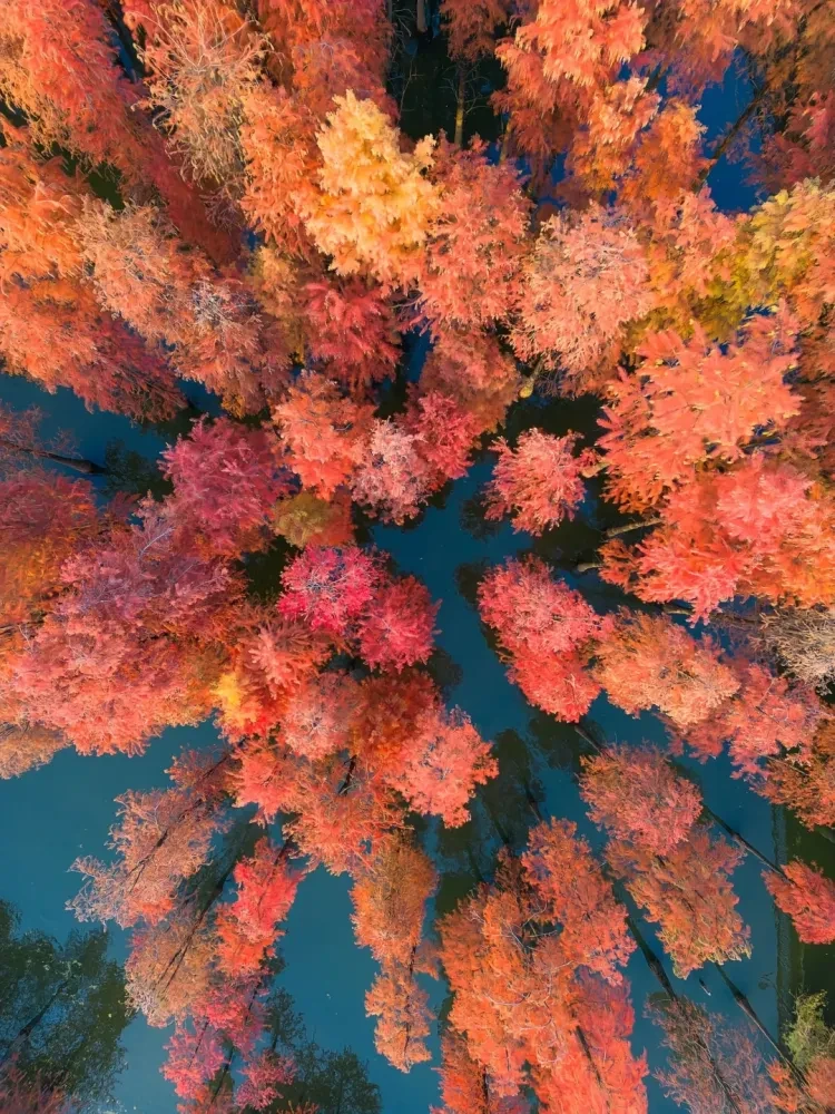 0e5488f10cdc03d1fef4481a8ae2dcd2-sz_4142239