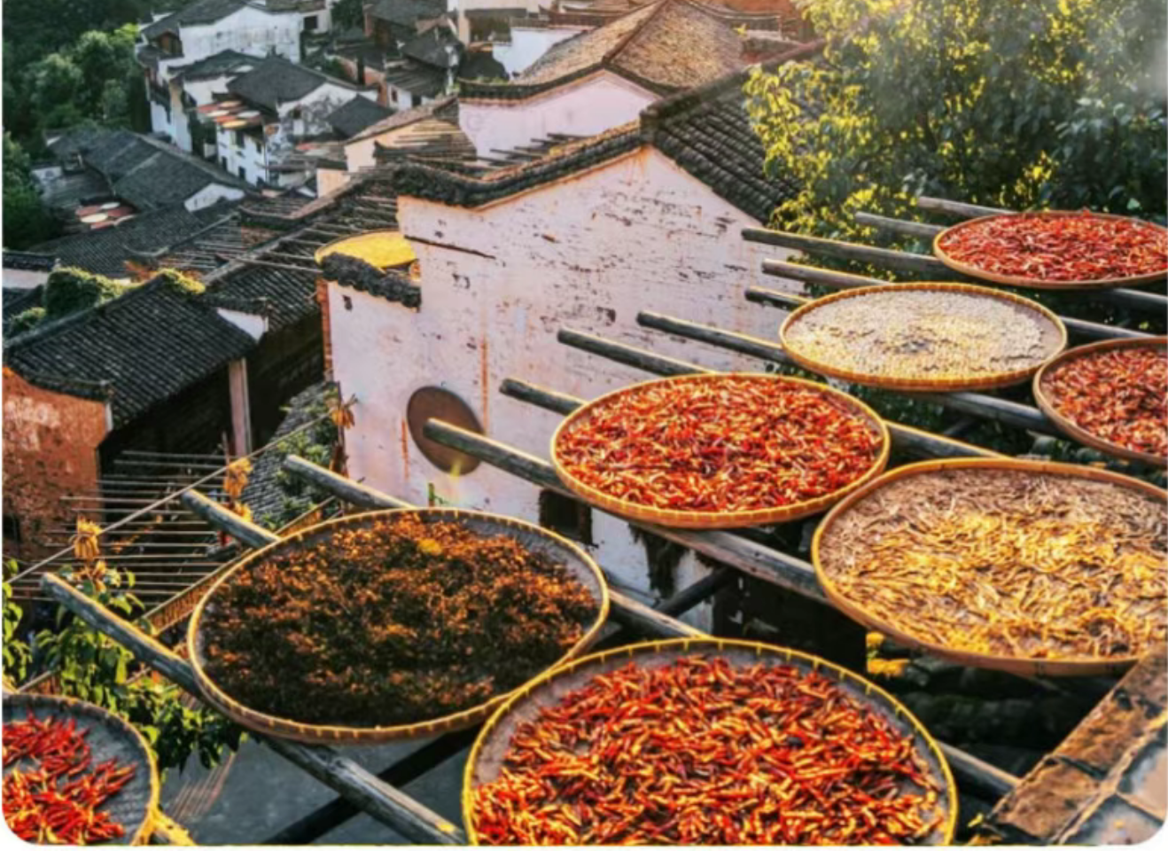 0e7f5099e6fbf4a72423ffb27e5ada1e