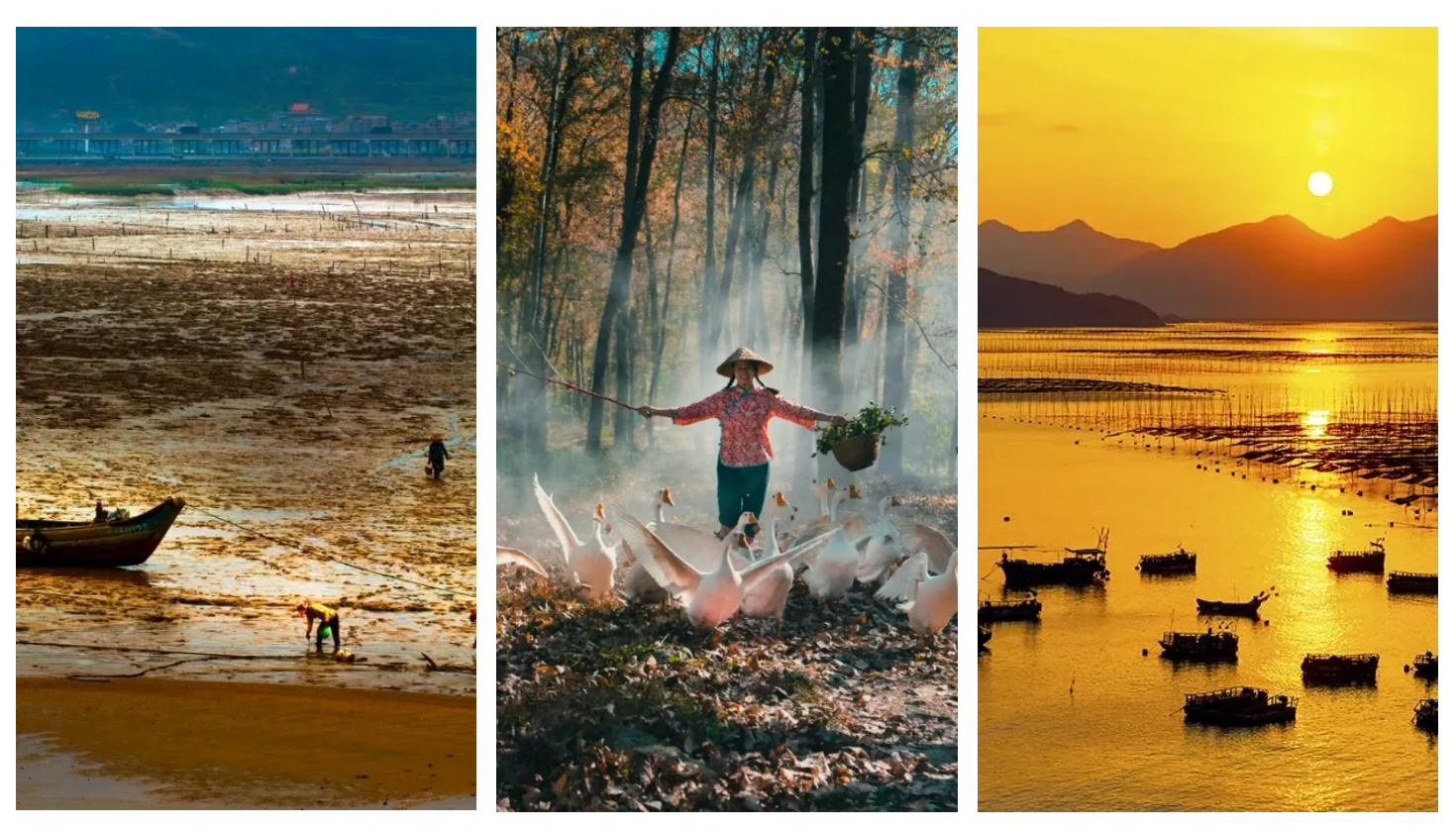 0f1c1d5993d9b34b53b79d8744b1e902