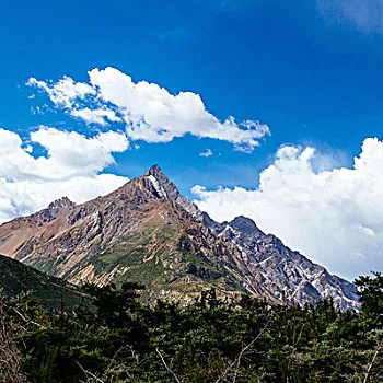 0f6a97ce8c7f864cd532dd678e54cd61-sz_82332