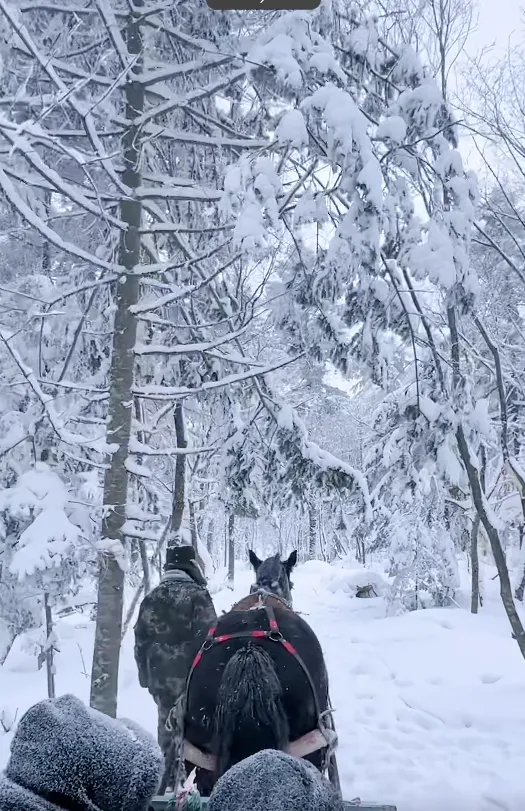 0f6c978fcd3f77c298ae3164afdce777-sz_860448