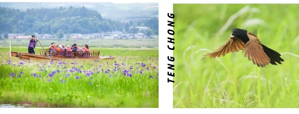 0f91b768877231afca9e648b37775b62-sz_394954