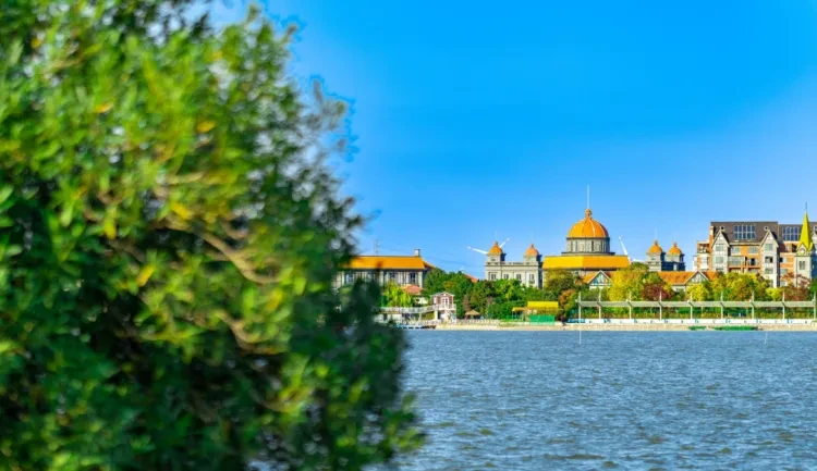 0f9410660cd667198c4422be66328ae1-sz_1127729