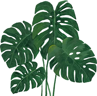 0faf091f9892683659121673220a6615-sz_158779