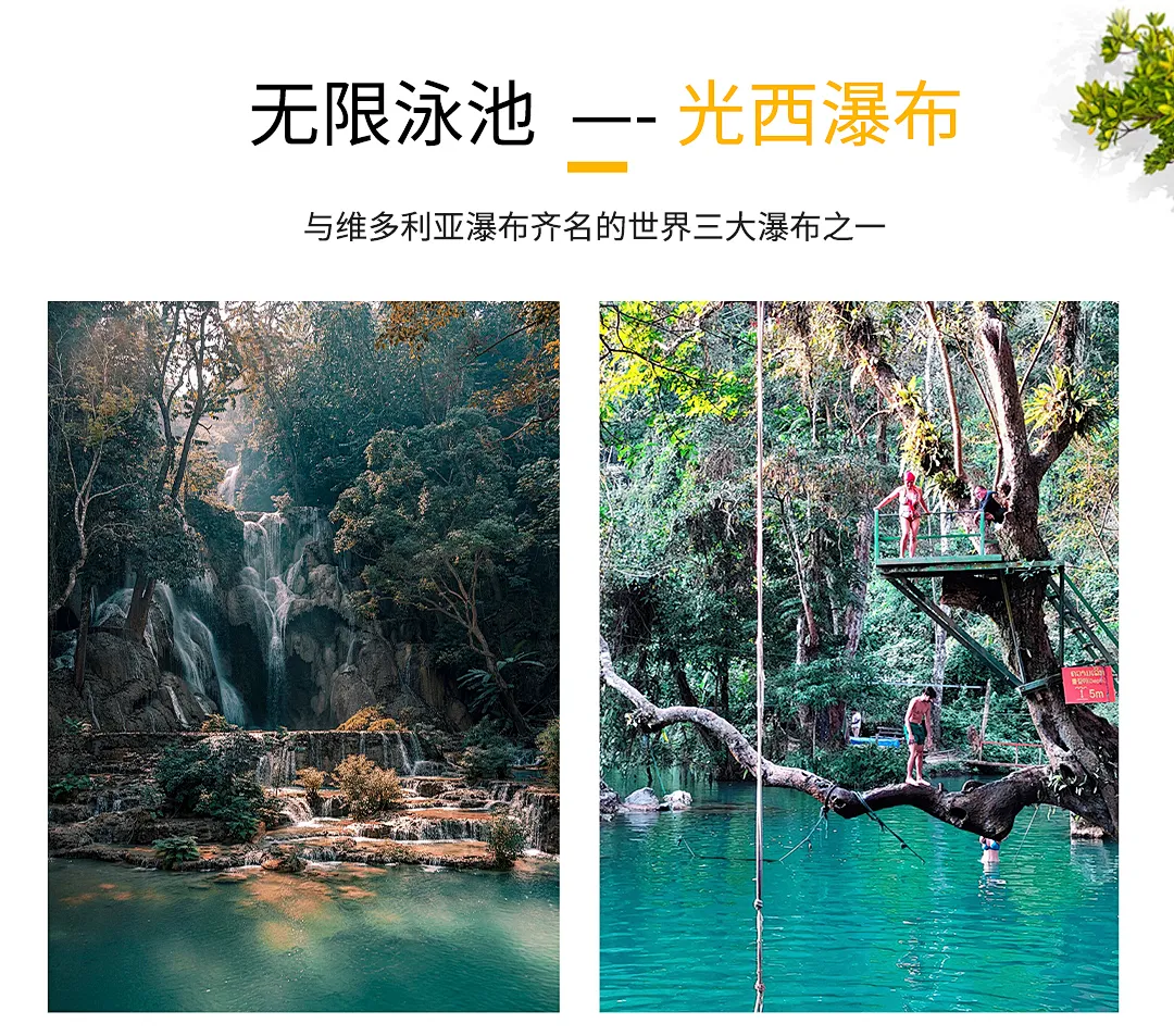 0fed671dfef73a3d69f04e34810add39-sz_2439582