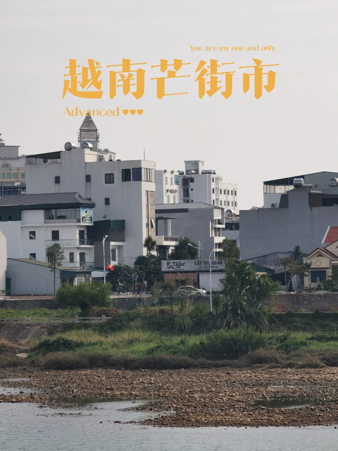 1000g0081qmfr46geu0605ni17gi08i4t78kkg1g