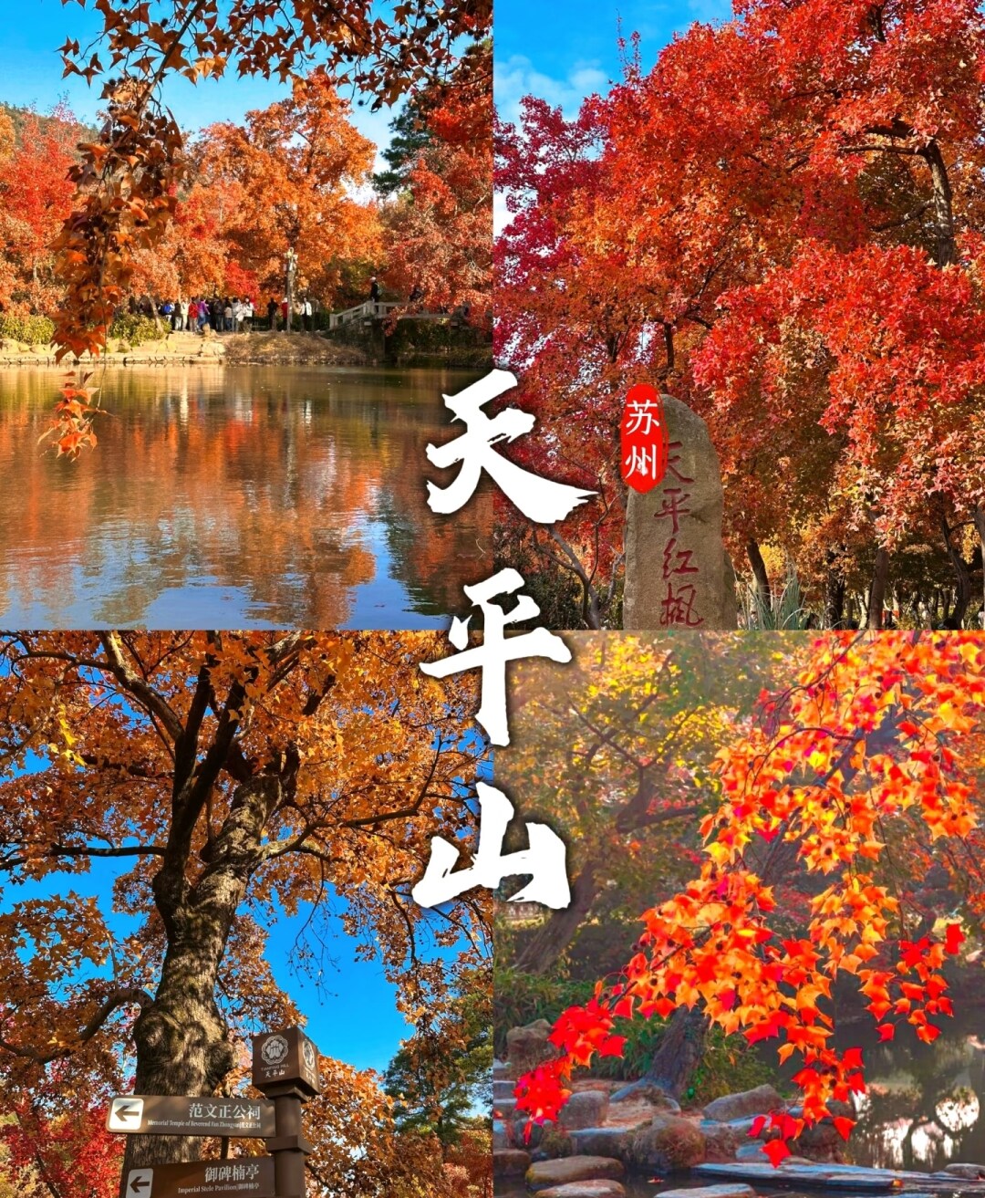 1019098dfe1930adc3dbb52d3f1d492c-sz_2675266