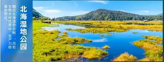 10c7a2438813c50818356ae221a14102-sz_29321