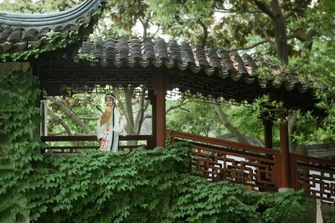 10cab8de536aae17816cd21fb91e3660-sz_179365