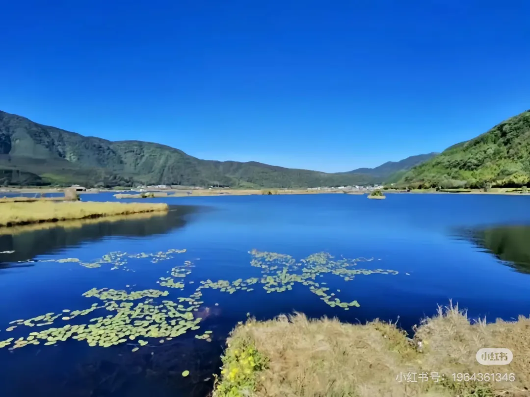 10e1eeb7634d38699371e56e5ef42f7a-sz_348606-1 10e1eeb7634d38699371e56e5ef42f7a-sz_348606-1