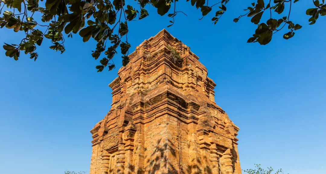 111a225de501b4e89a9df5cca3fed66d-sz_378209-3