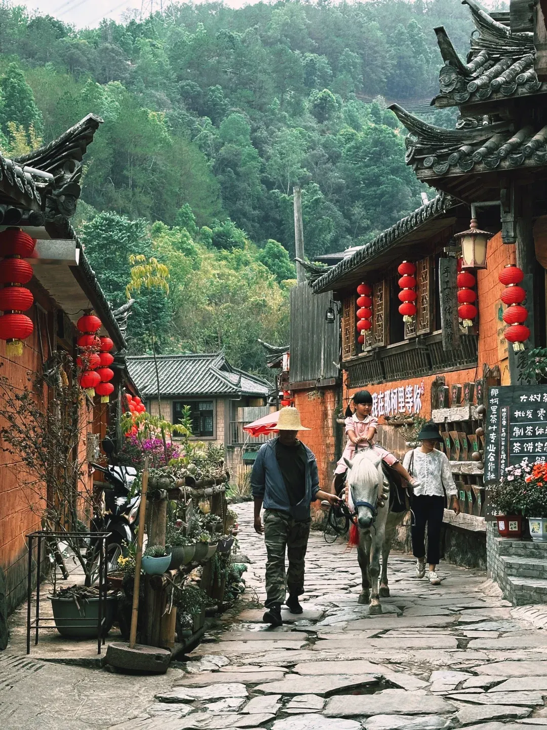 1133c6c242ceed4085cd1c60861e9ff8-sz_3902446