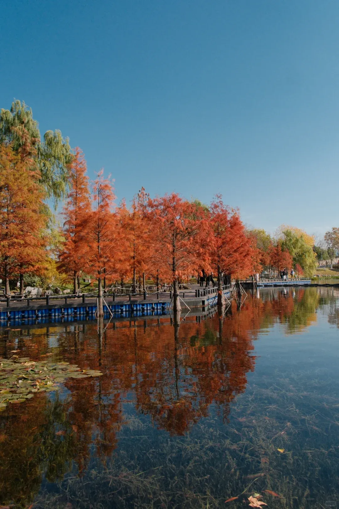 114bba05af65cc31302ed4e9a64ef8c0-sz_2177832 114bba05af65cc31302ed4e9a64ef8c0-sz_2177832