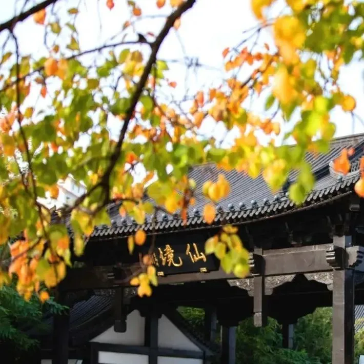 11594bf1cbd2f2304241a47ce8b4d268-sz_90560-1 11594bf1cbd2f2304241a47ce8b4d268-sz_90560-1