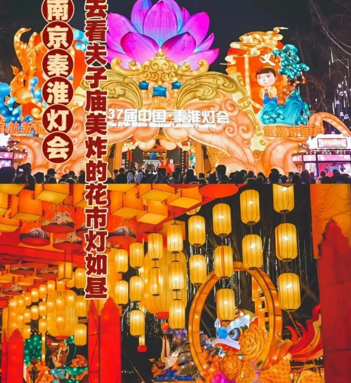 1160438f655e7b8b0463a8ec1cddfee4